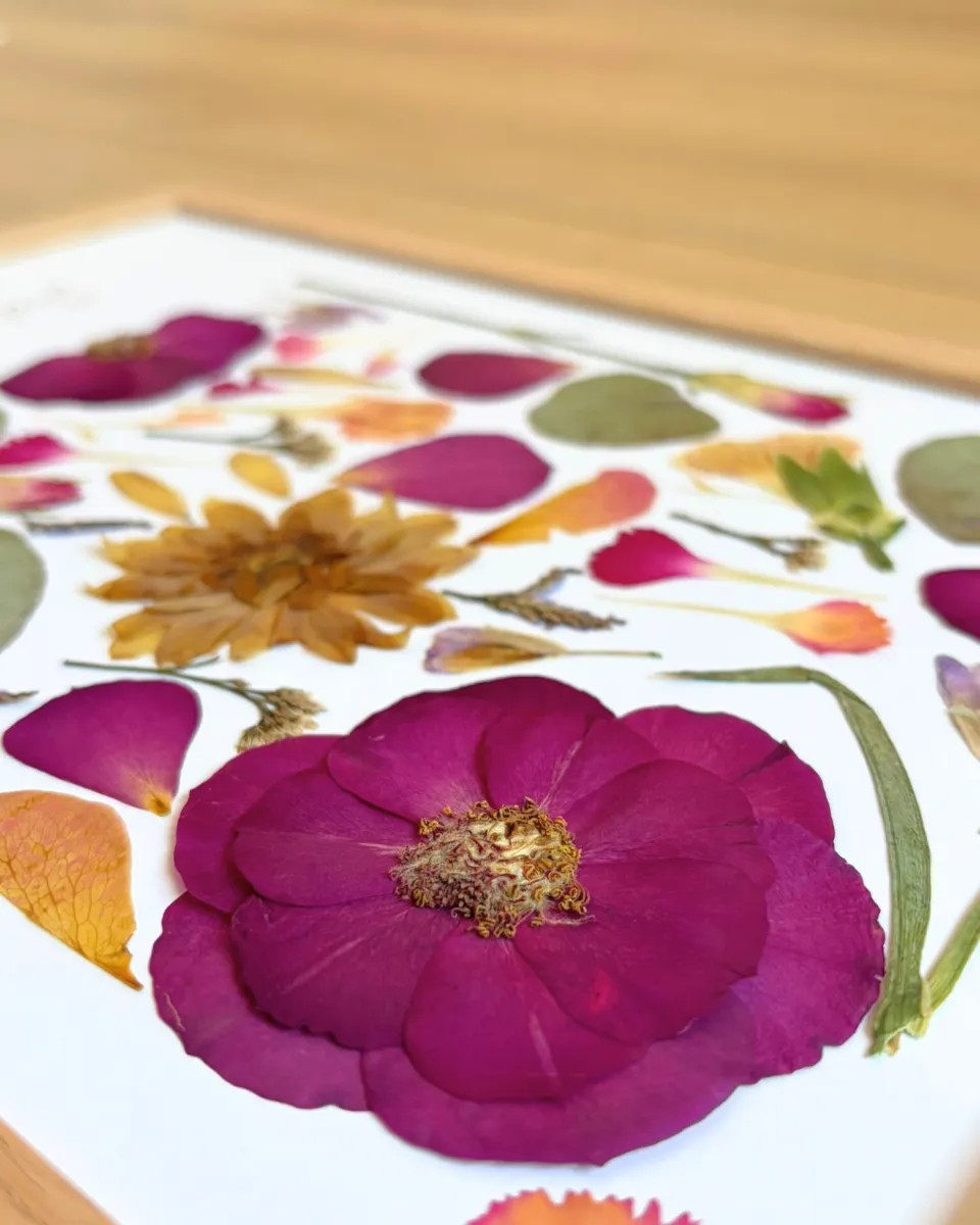 Assemblage de fleurs et feuilles séchées de différentes couleurs et tailles sur fond blanc, orné d'un cadre en bois.