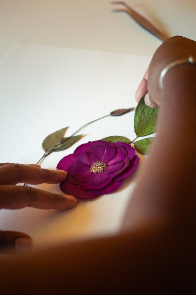 Rose préssée mise sous cadre